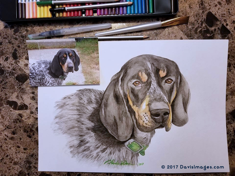 Duke finished watercolor painting