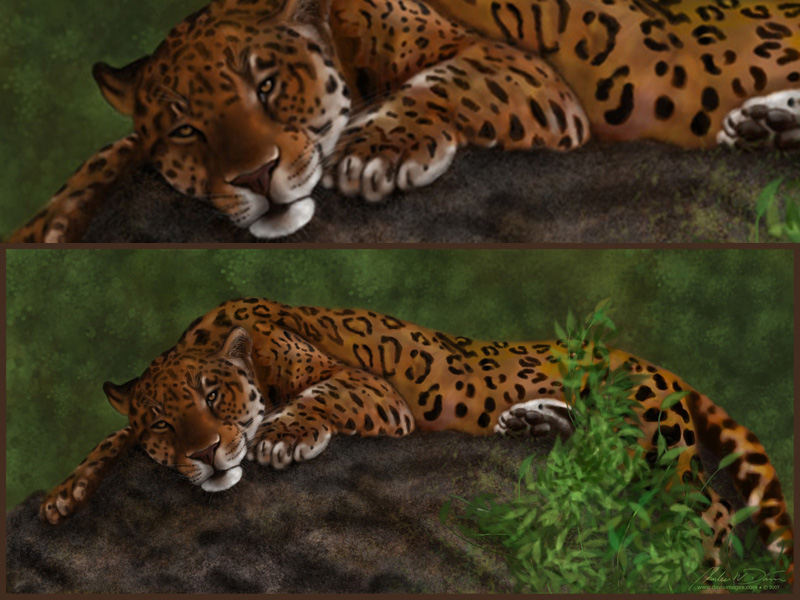 Lazy Leopard