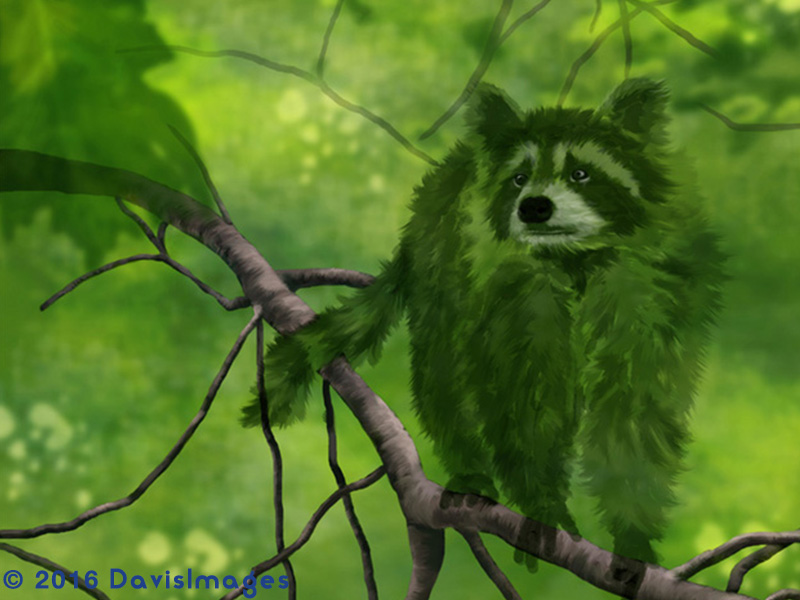 Forest Ghost - Raccoon